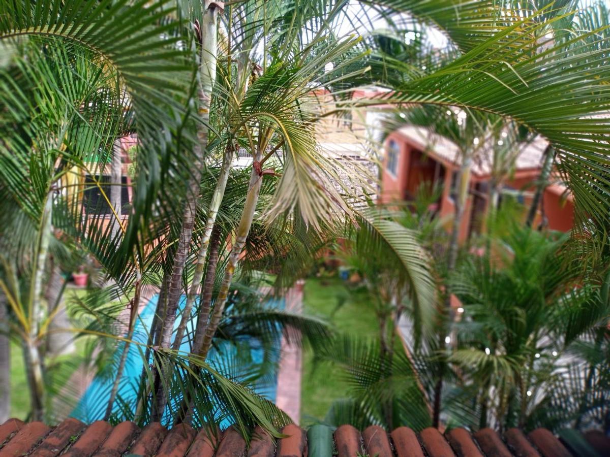 Posada Cocos Cuernavaca Zewnętrze zdjęcie